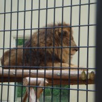 DSC09670